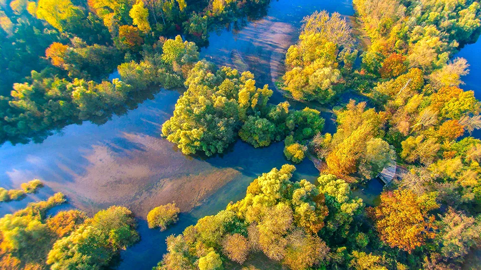 Flussauen am Oberrhein